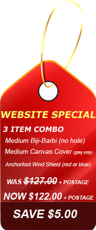 Website Combo Special